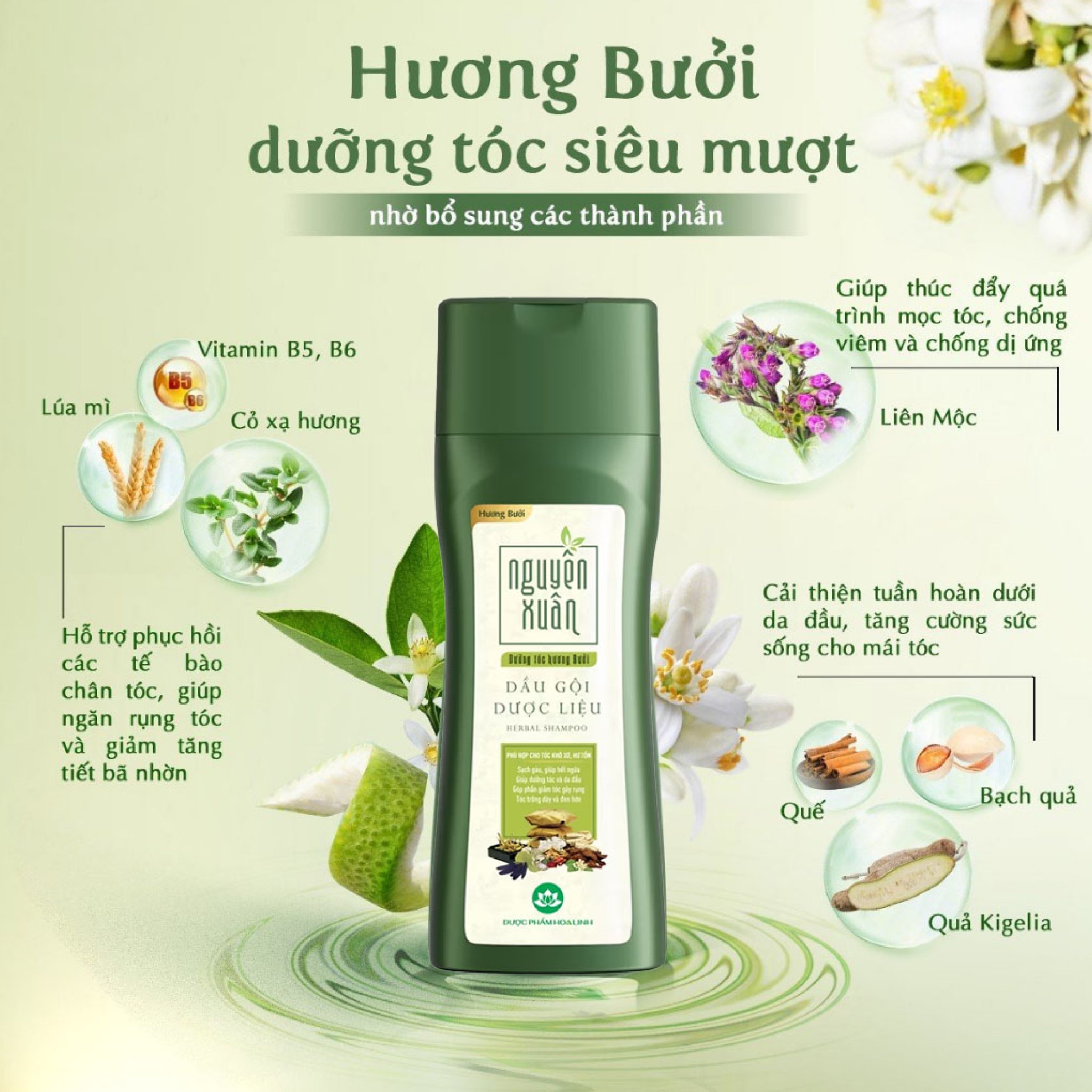 Nguyên xuân Bưởi 250ml