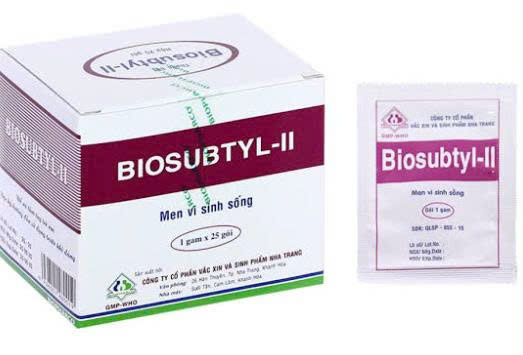 Biosubtyl II men nha trang